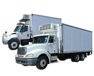 reefer trucks